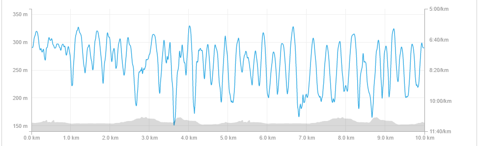 Strava Stats