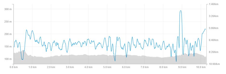 Strava Stats