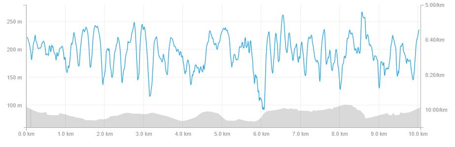Strava Stats