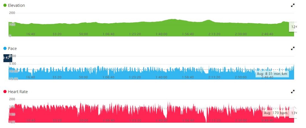 Birmingham Half Marathon Garmin Stats