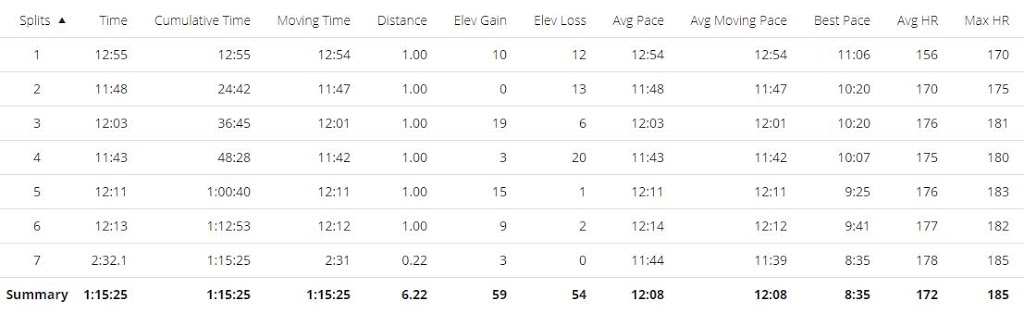 Wolverhampton 10k Splits