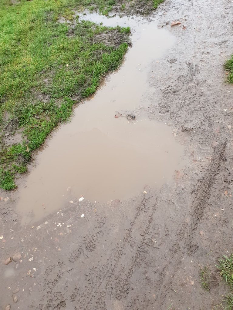 This Was A Small Puddle!