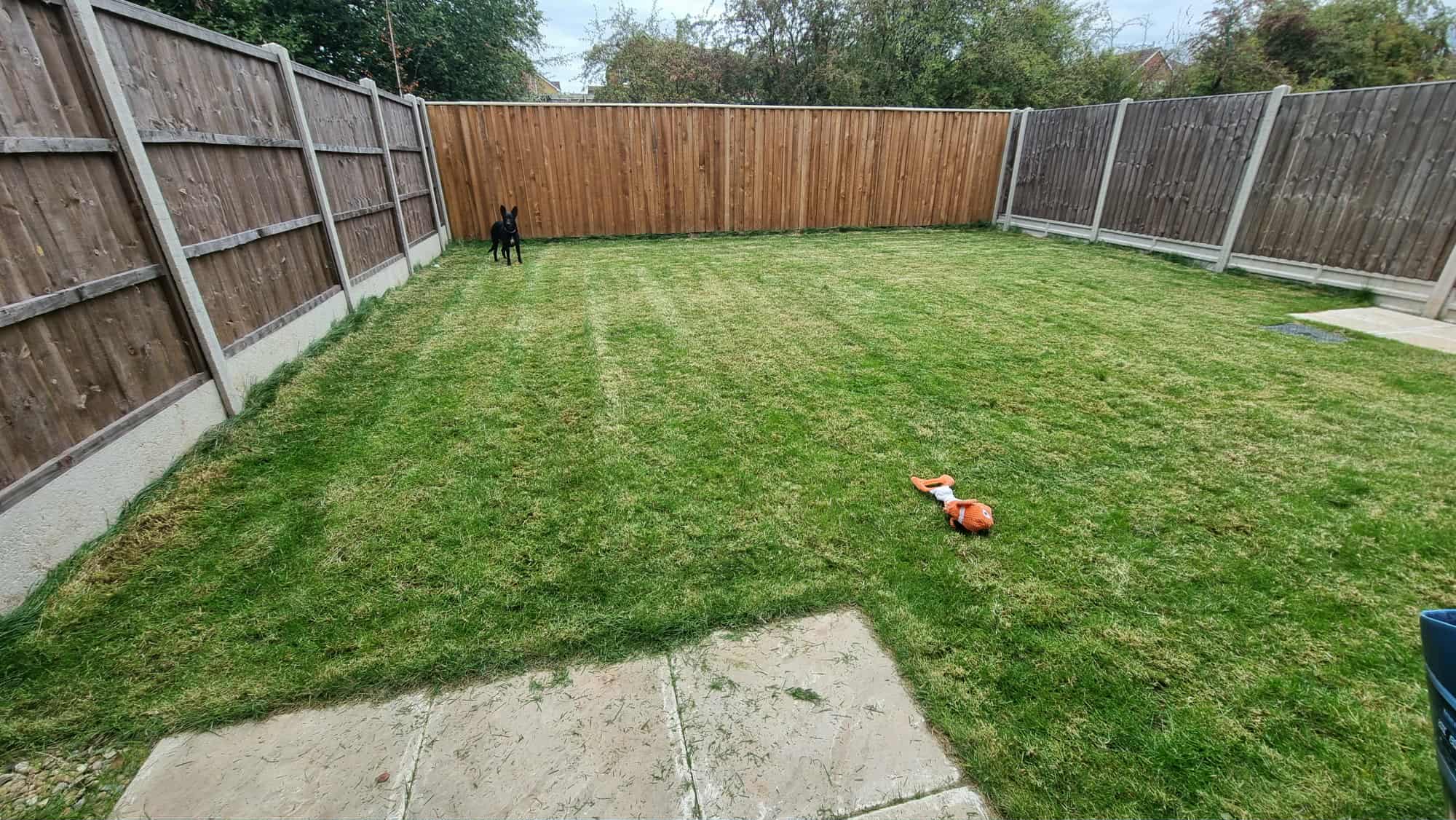 Garden freshly mowed
