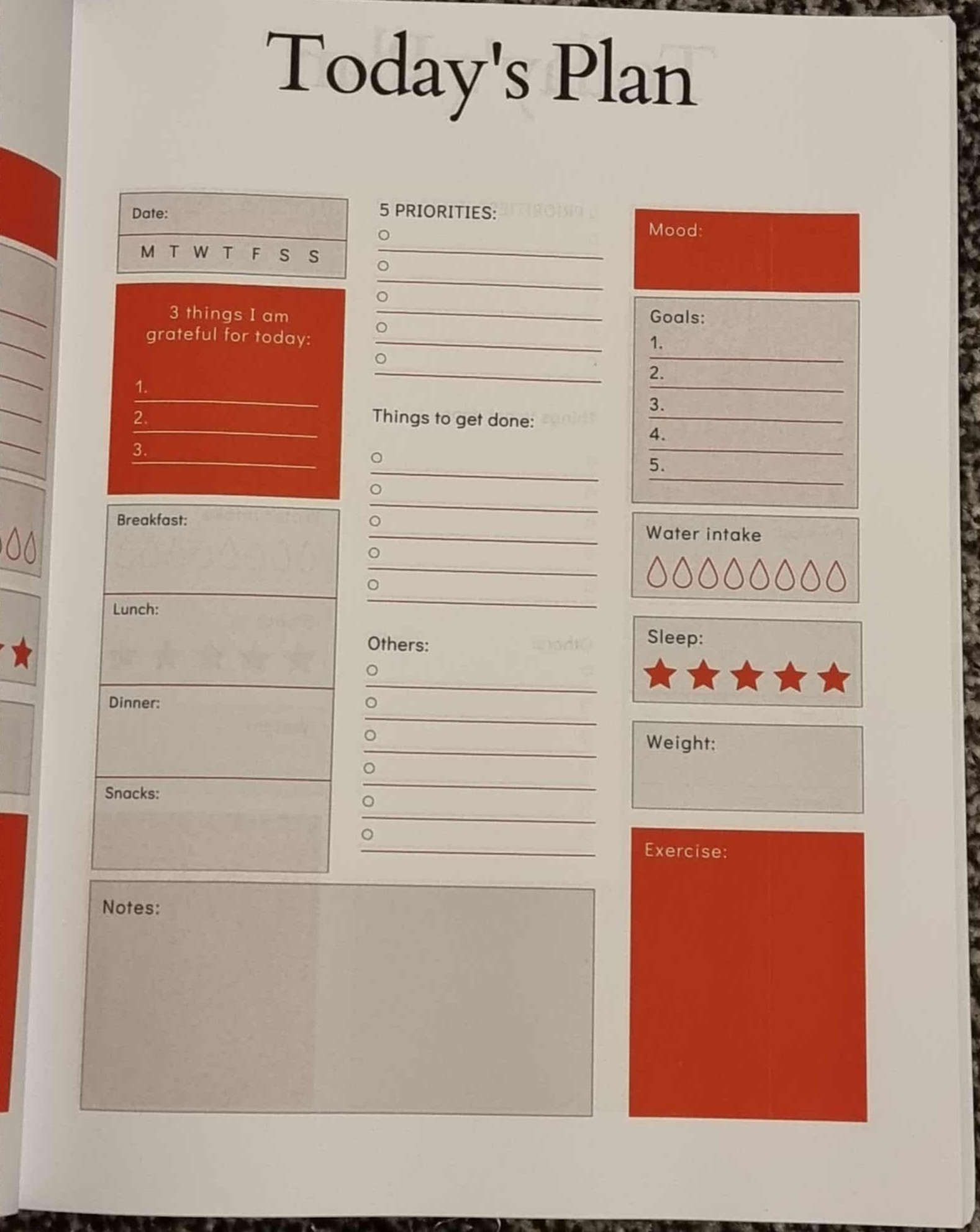 Journal today's plan